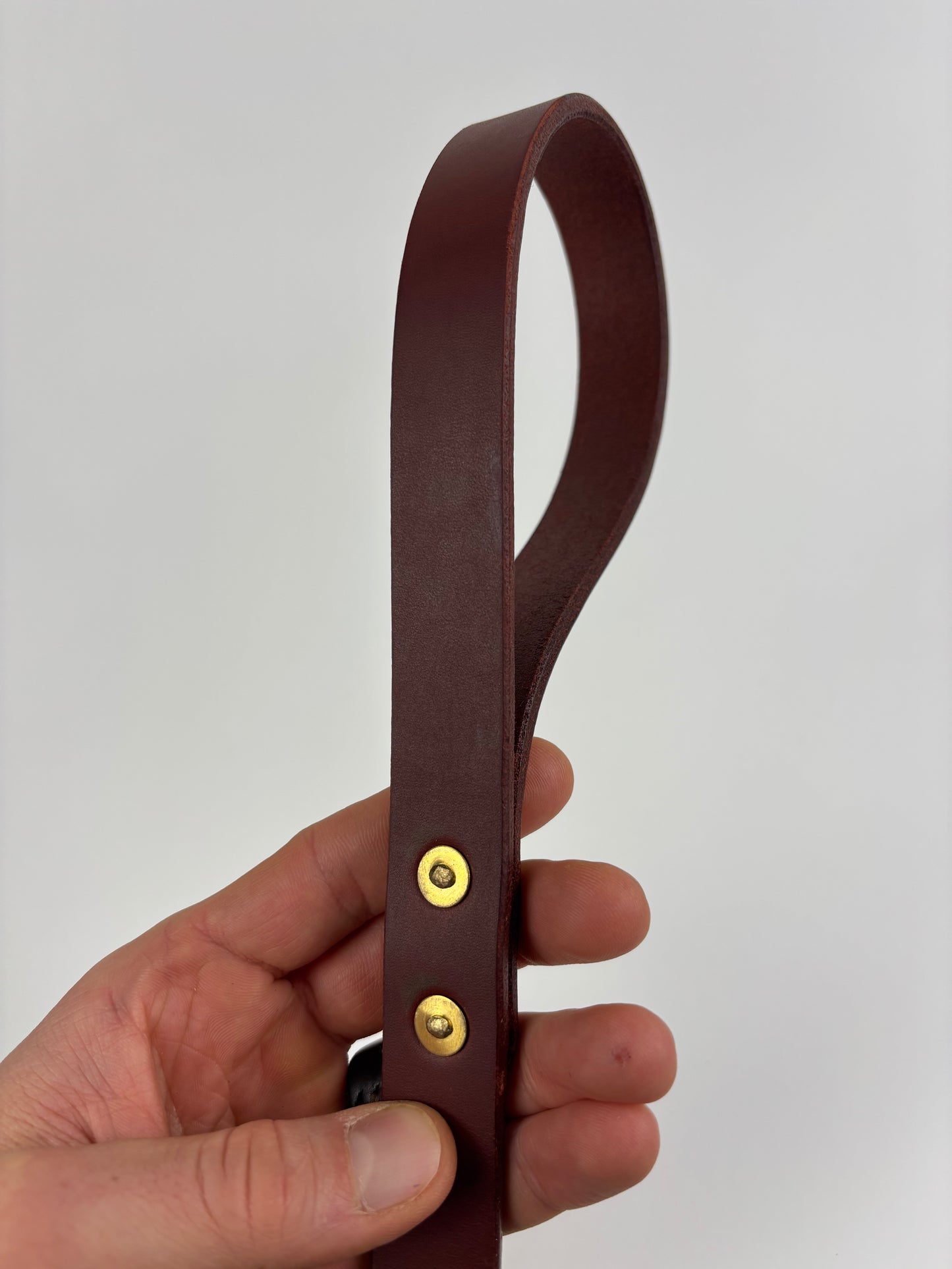 Dog Leash