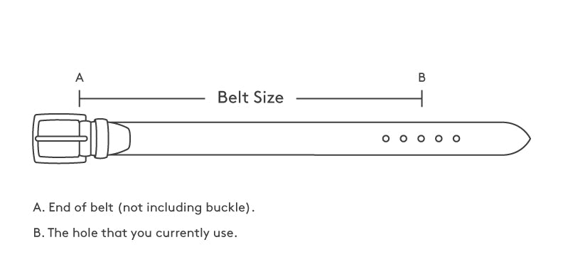 Belt
