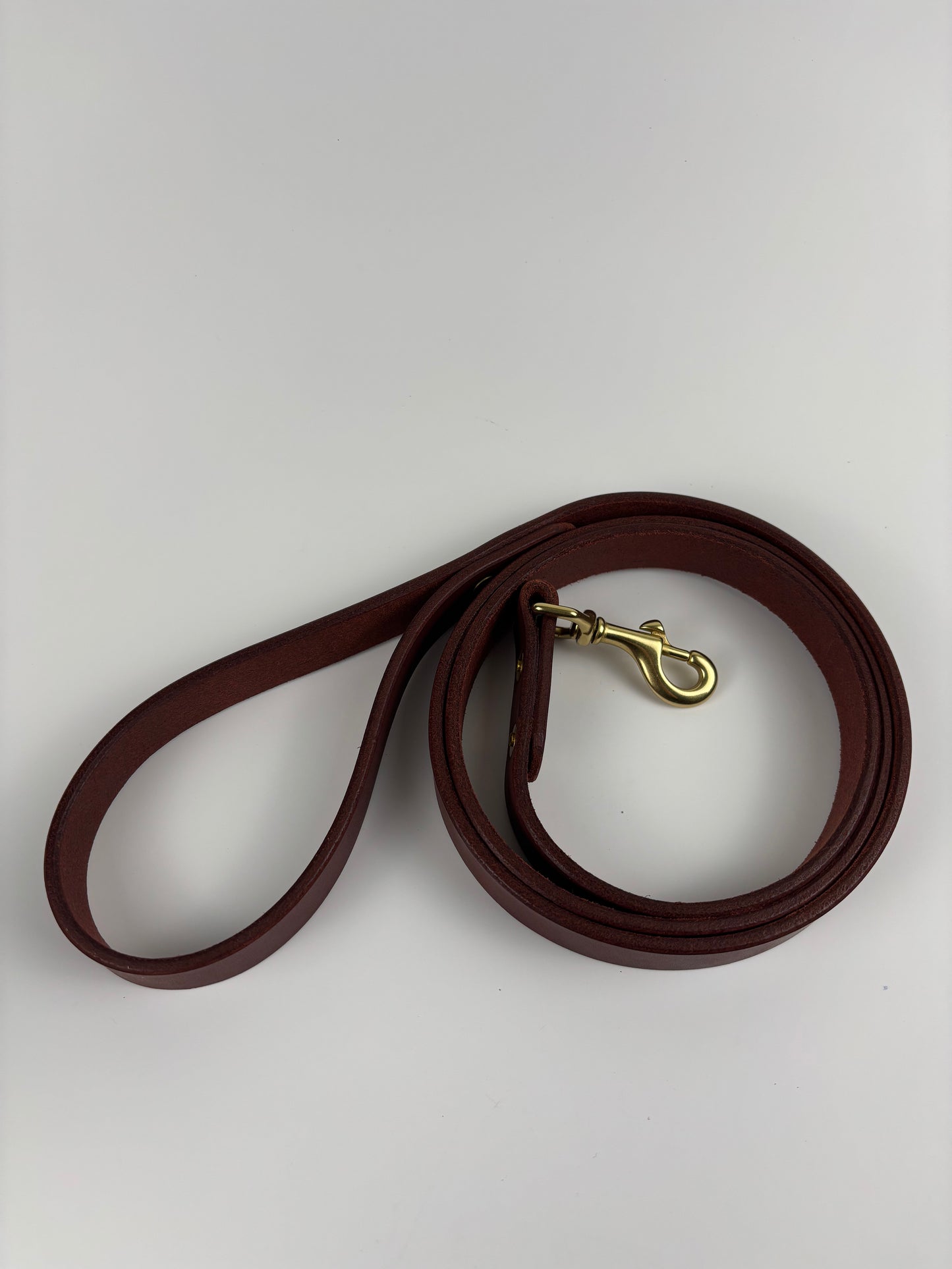 Dog Leash