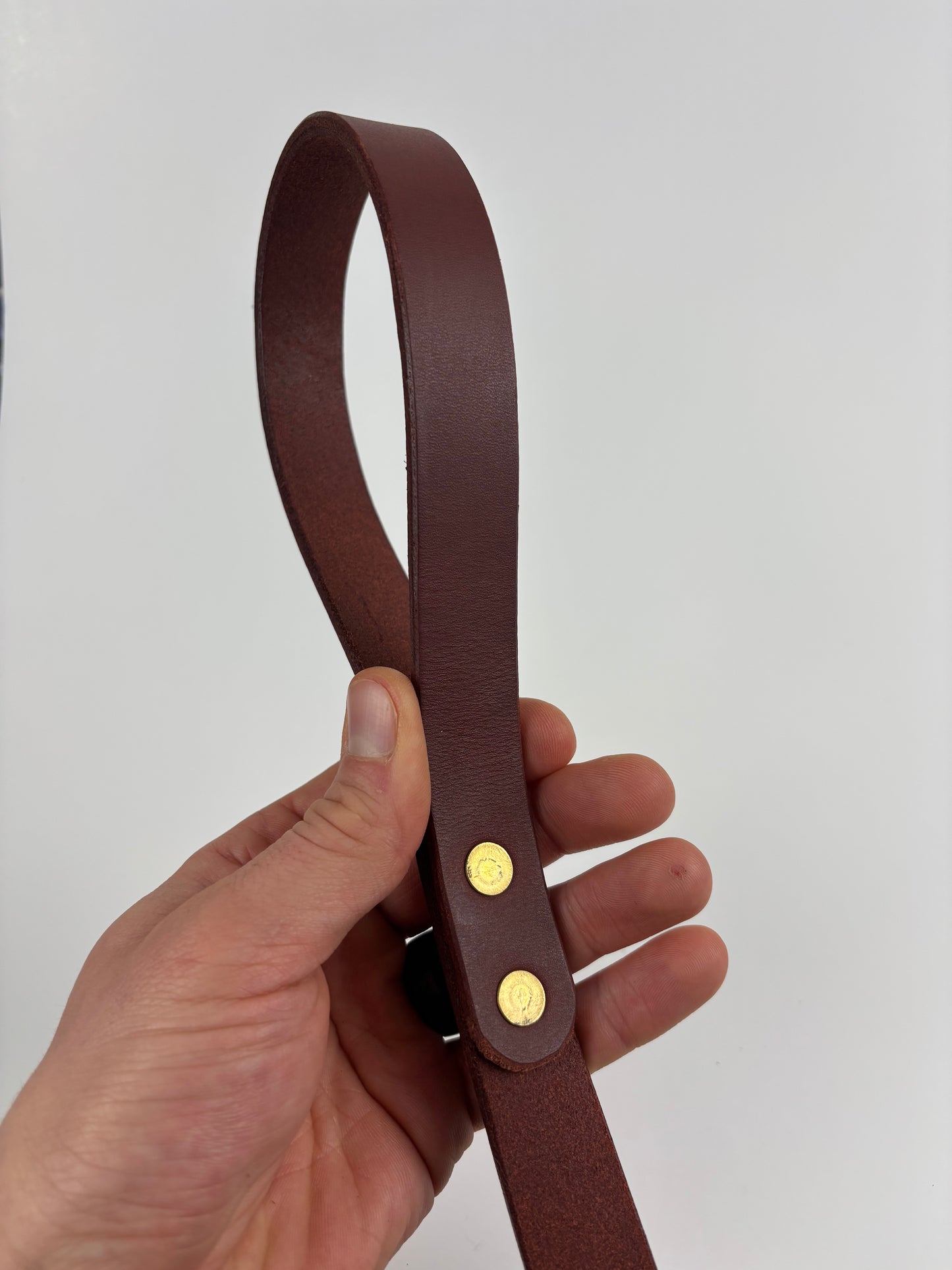 Dog Leash